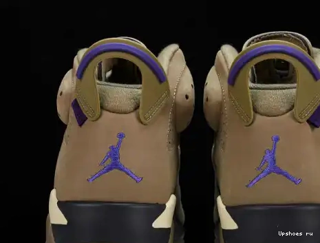 FD1643-300 6 Kelp Retro Jordan  Gore-Tex Brown FD1643-300 0517